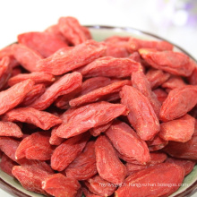 Fruits secs en gros baies de goji biologiques en gros baies de goji en gros